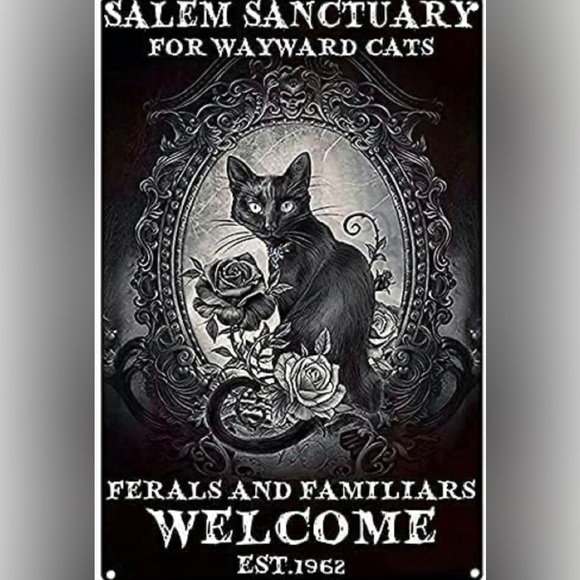 Salem Kitty Black Roses - Picture 2 of 2